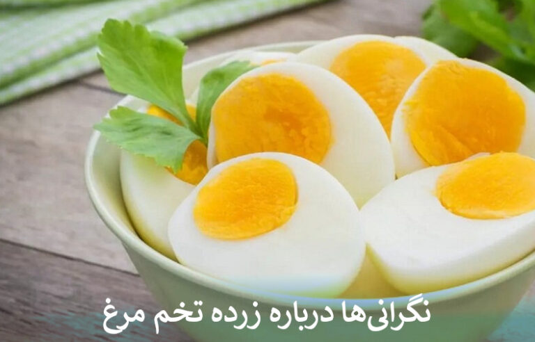 زرده تخم مرغ