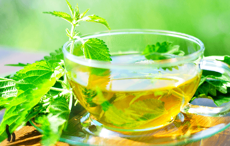 درمان گیاهی آلزایمر