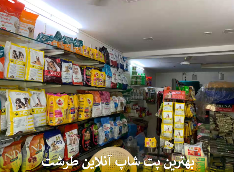 بهترین زمان مصرف قرص آهن