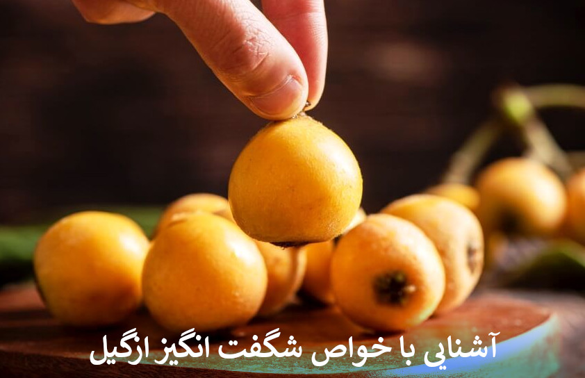 آشنایی با خواص شگفت انگیز ازگیل