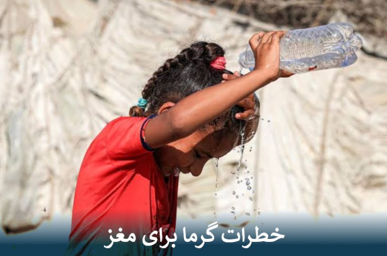خطرات گرما برای مغز