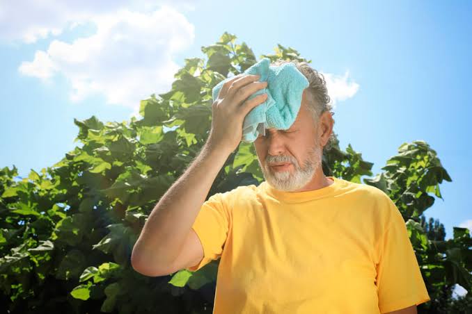 خطرات گرما برای مغز